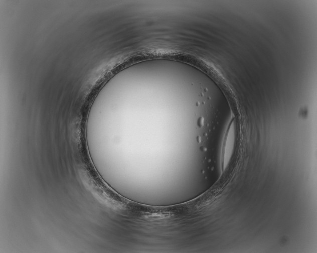 X0000116260447200912211740