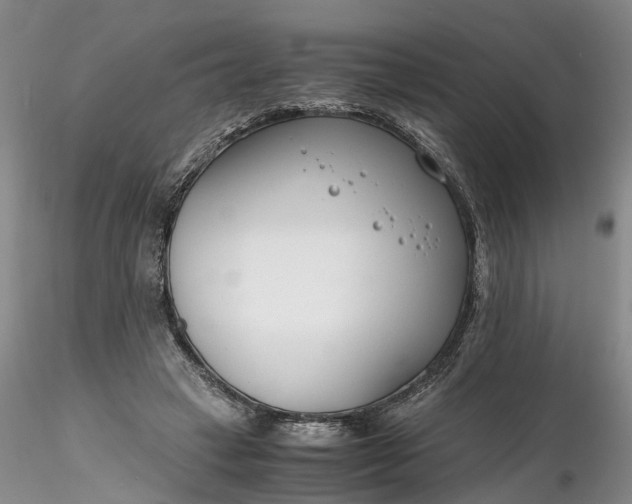 X0000116260449200912211740