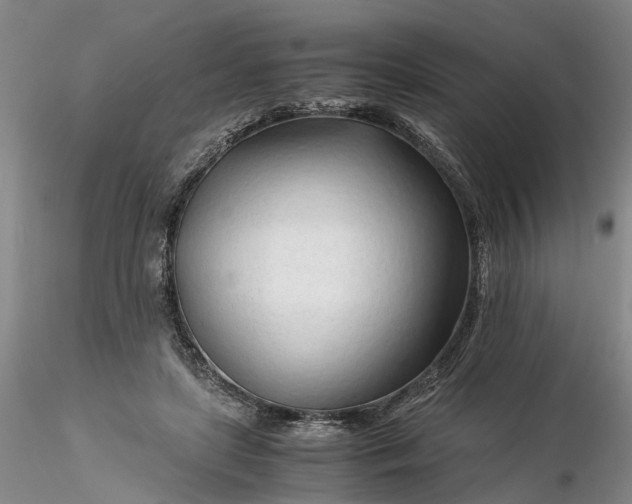 X0000116260451200912211740