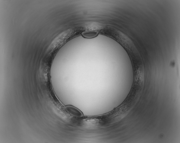 X0000116260452200912211740