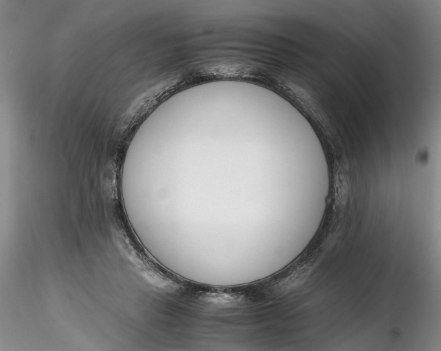 X0000116260453200912211740