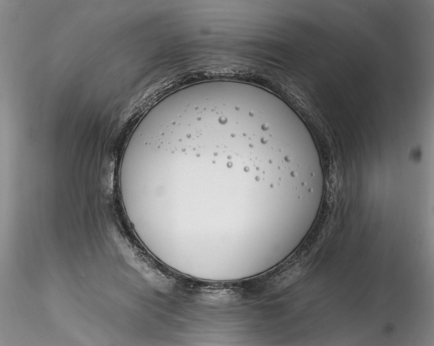 X0000116260454200912211740