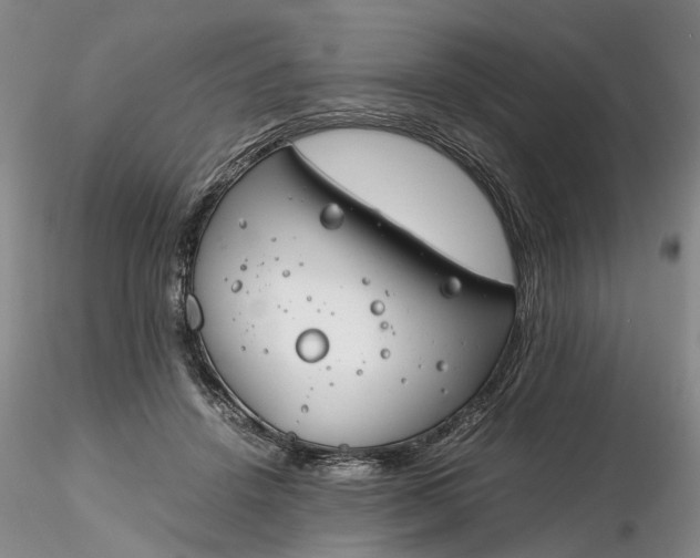 X0000116260456200912211740