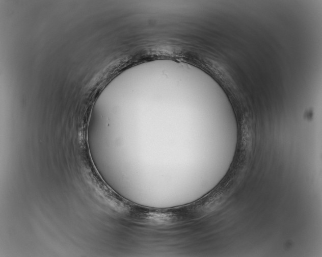 X0000116260457200912211740