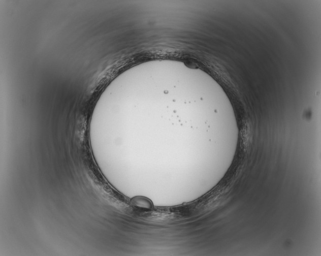 X0000116260458200912211740