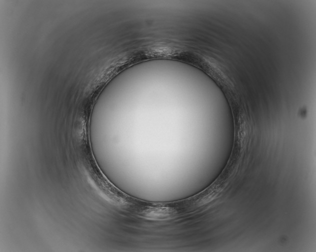 X0000116260459200912211740
