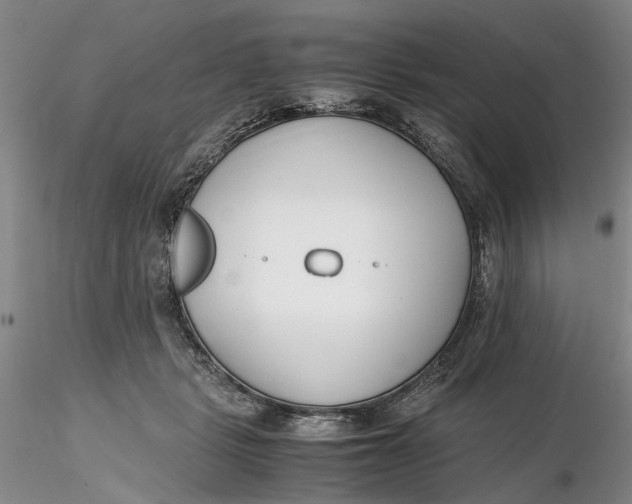X0000116260461200912211740