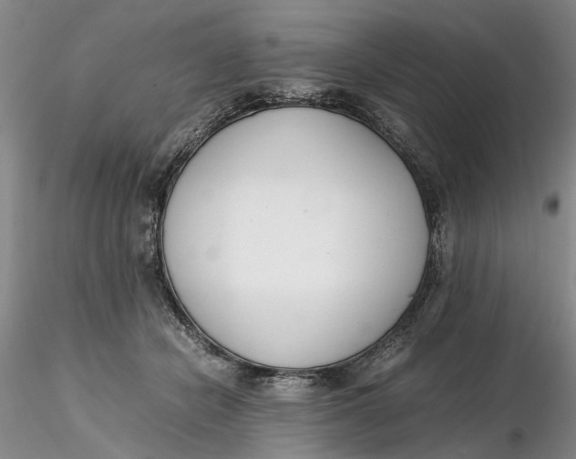 X0000116260462200912211740