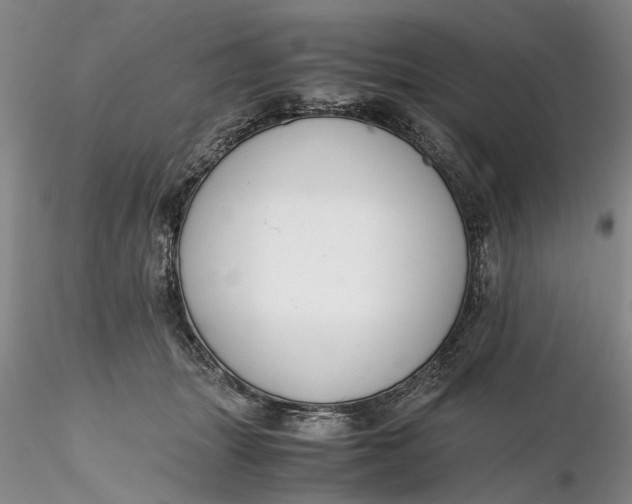 X0000116260463200912211740