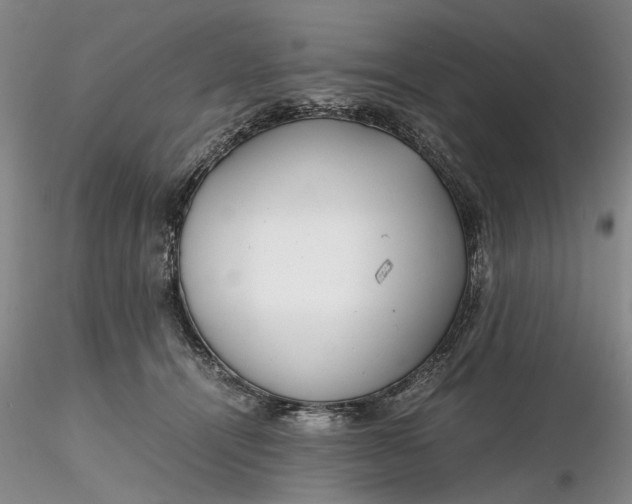 X0000116260464200912211740