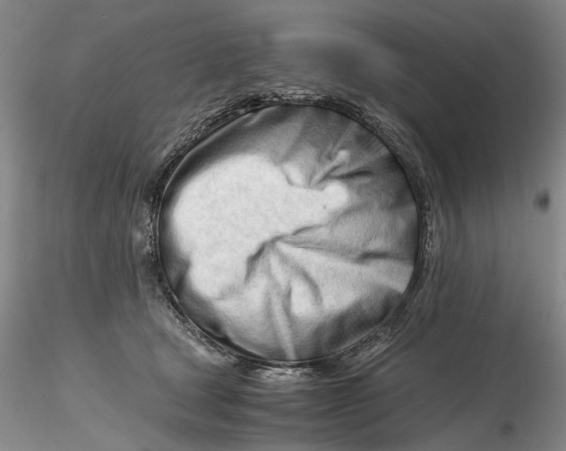 X0000116260465200912211740