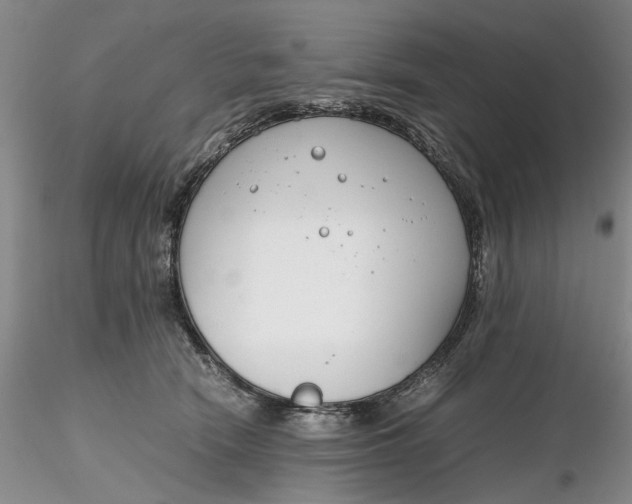 X0000116260466200912211740