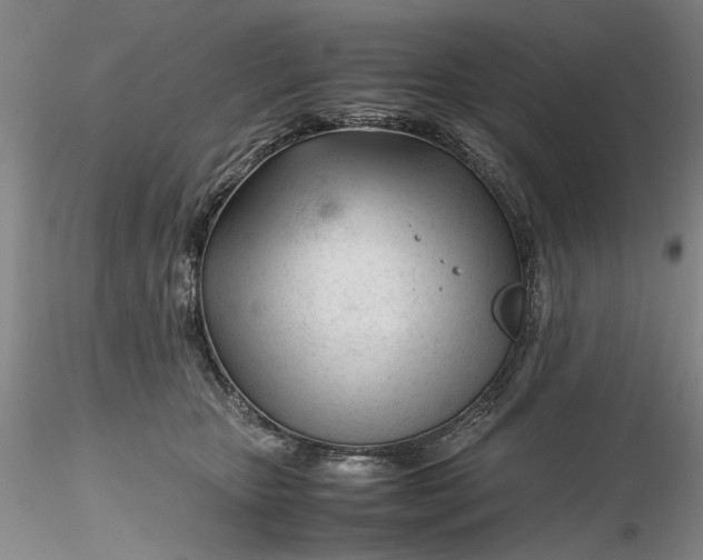 X0000116260467200912211740