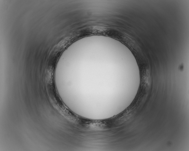 X0000116260468200912211740