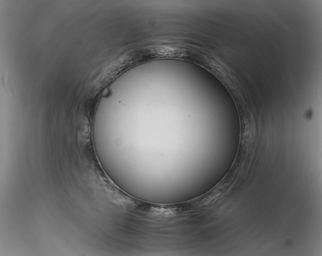 X0000116260469200912211740