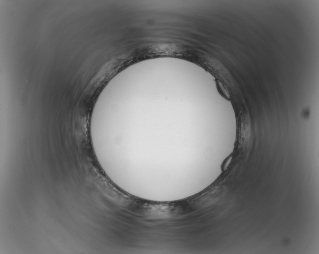 X0000116260473200912211740