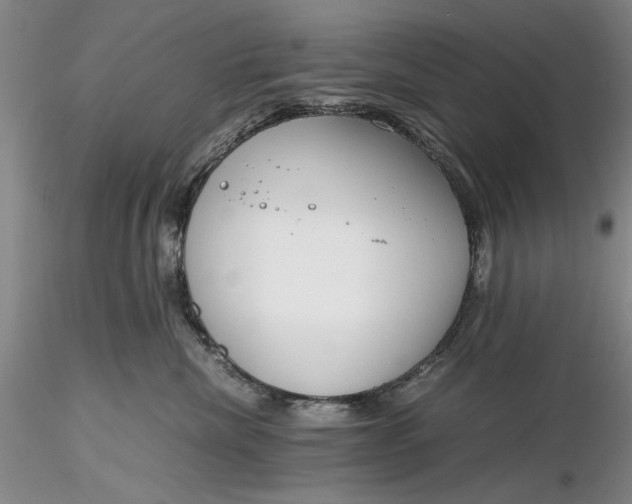 X0000116260476200912211740