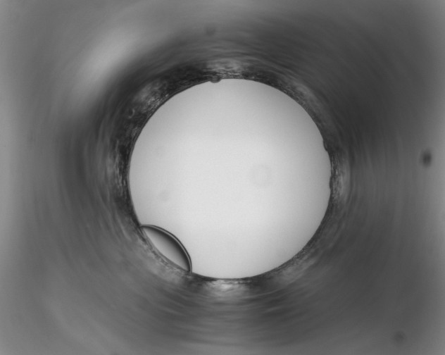 X0000116260477200912211740