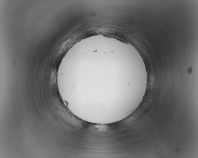 X0000116260478200912211740