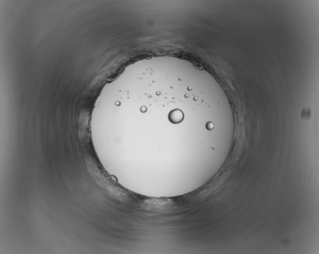 X0000116260480200912211740