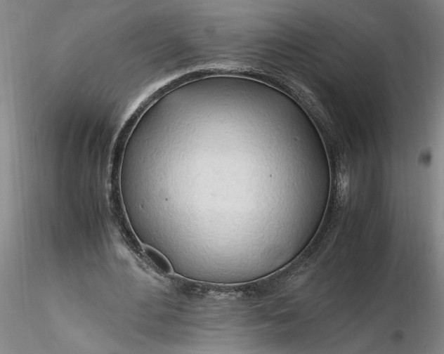X0000116260484200912211739