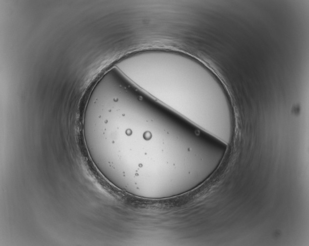 X0000116260485200912211739