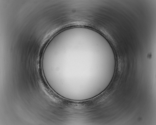 X0000116260486200912211739