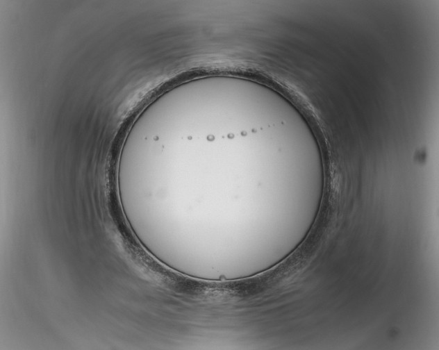 X0000116260487200912211739