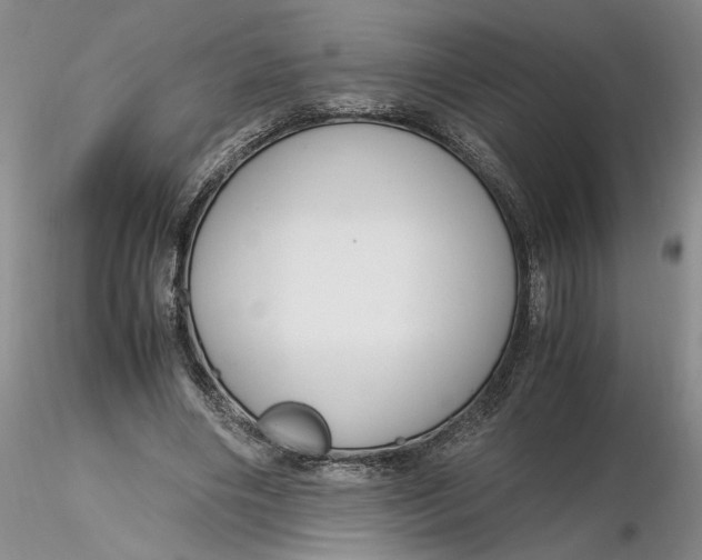 X0000116260490200912211739