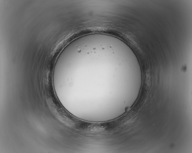 X0000116260491200912211739