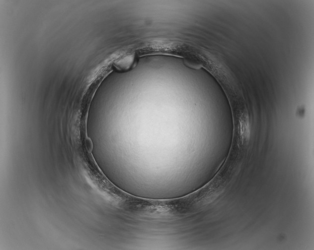 X0000116260492200912211739