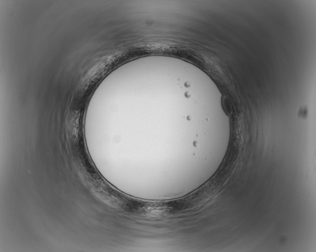 X0000116260495200912211739