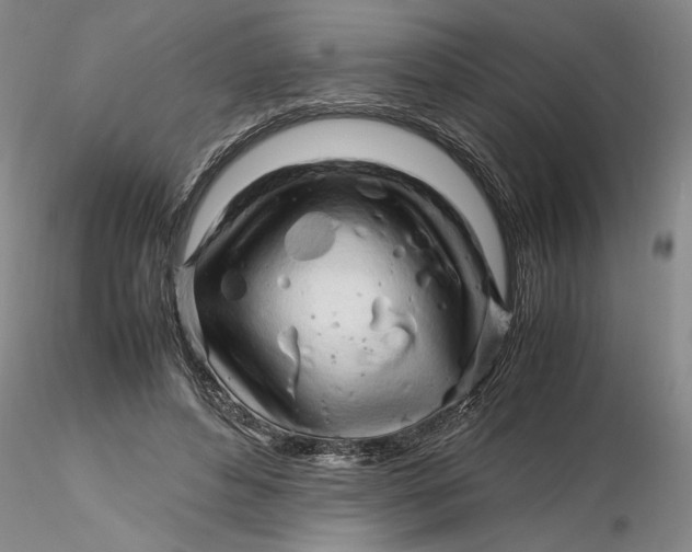 X0000116260496200912211739