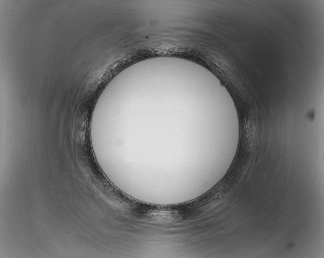 X0000116260499200912211739