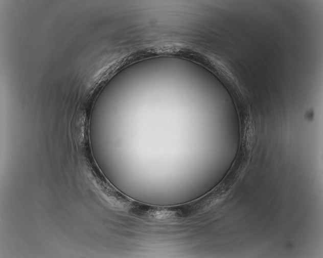 X0000116260501200912211739