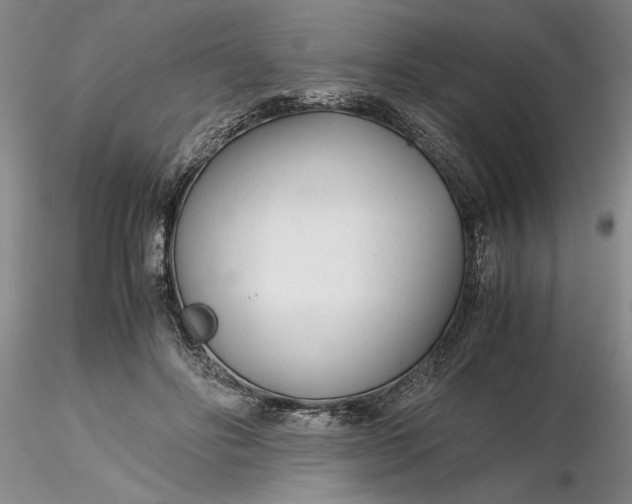 X0000116260502200912211739