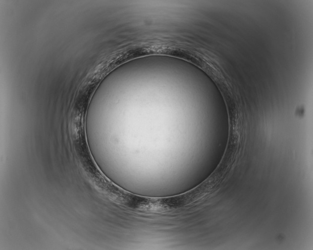 X0000116260503200912211739
