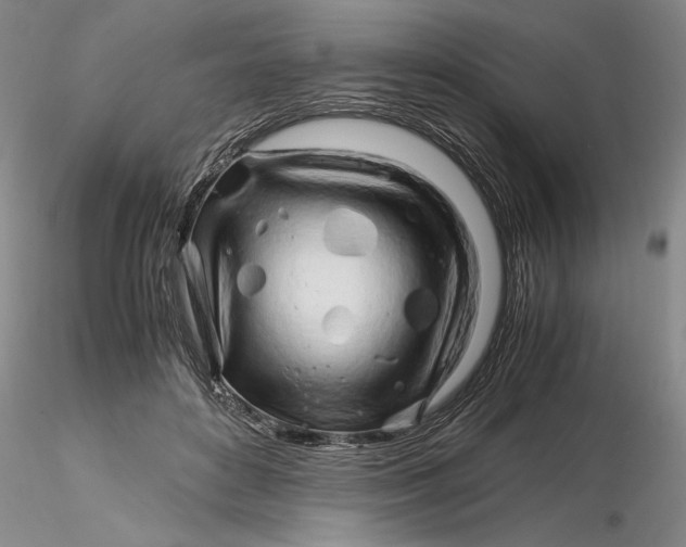 X0000116260504200912211739