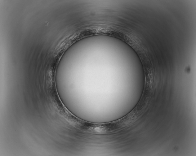 X0000116260506200912211739