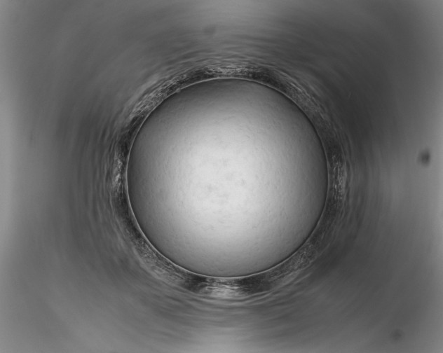 X0000116260507200912211739