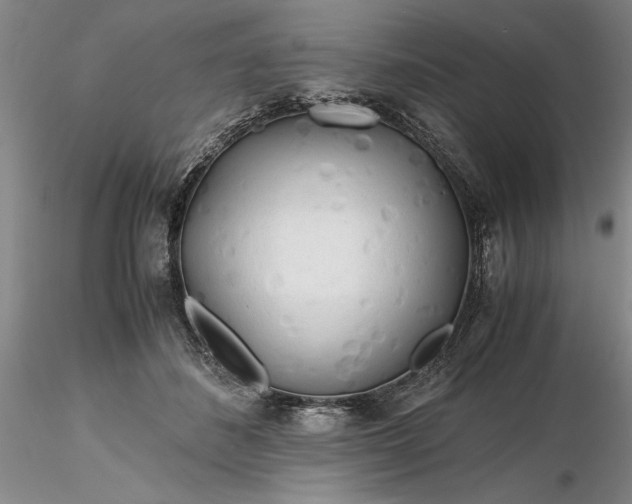 X0000116260508200912211739