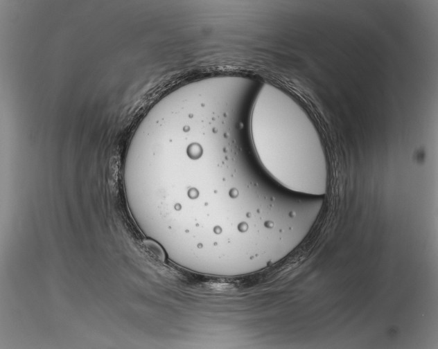 X0000116260509200912211739