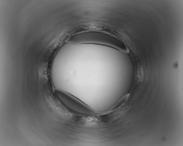 X0000116260512200912211739