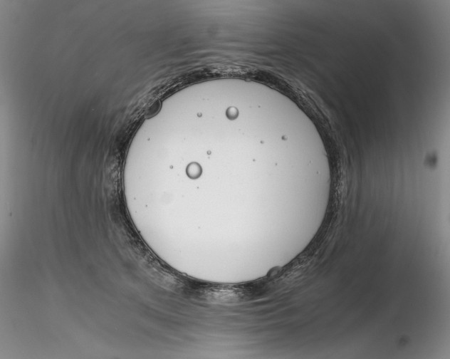 X0000116260513200912211739