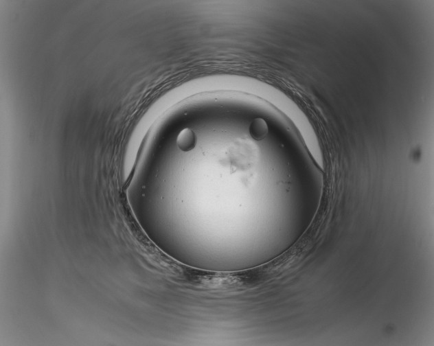 X0000116260517200912211739