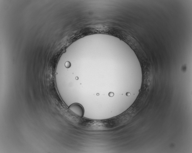 X0000116260518200912211739