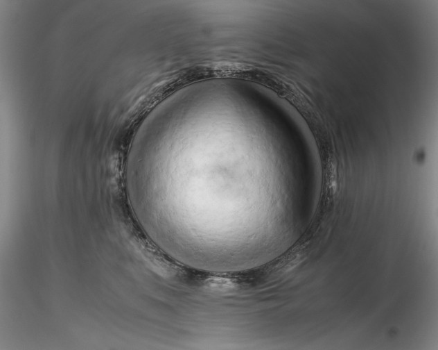 X0000116260519200912211739
