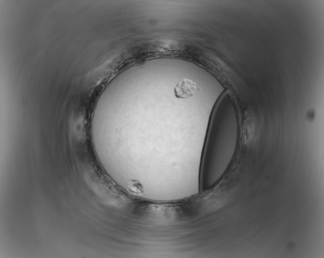 X0000116260520200912211739
