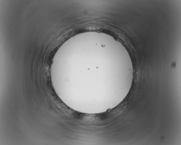 X0000116260521200912211739