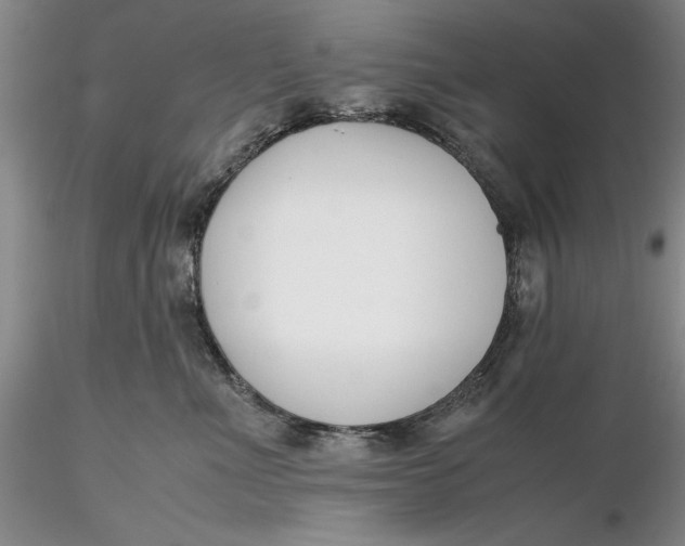 X0000116260523200912211739